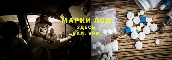 СК Вязьма