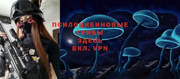СК Володарск