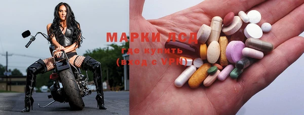 индика Сосновка