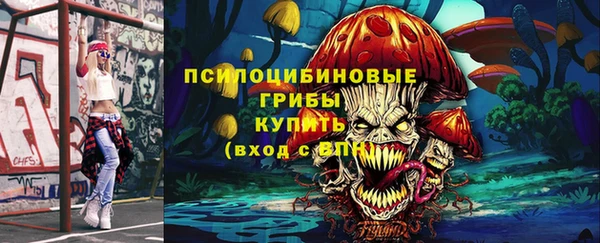 СК Володарск